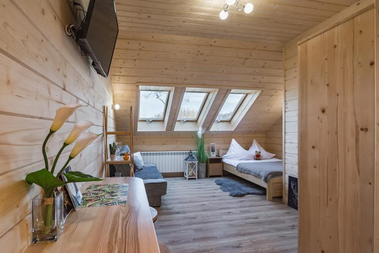 Mazurkowy Gosciniec Apartment Zakopane Poland