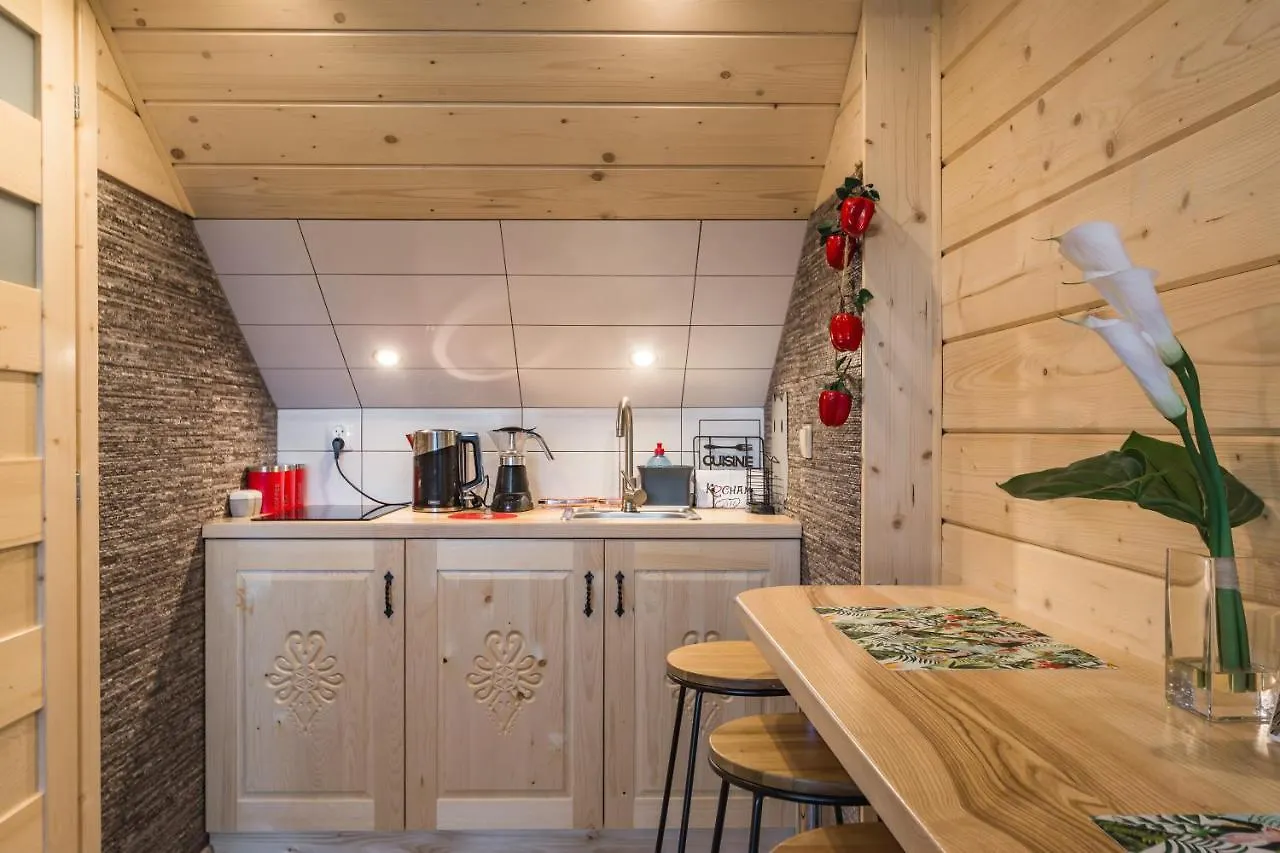 Mazurkowy Gosciniec Apartment Zakopane